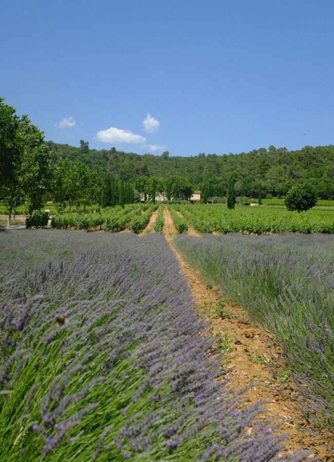Jardins de Provence